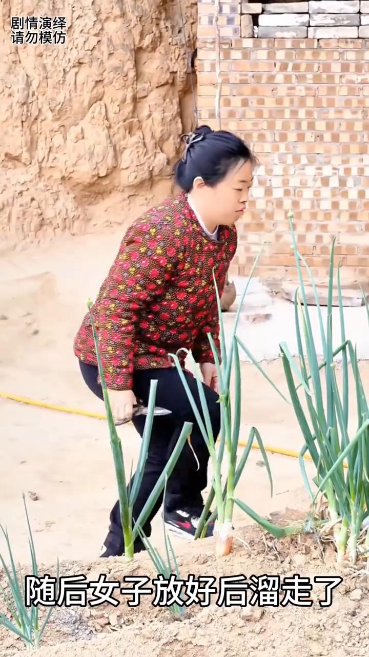 大姐在葱里藏私房钱，后面女子恰好看到也是绝了。
大姐来到菜园里，只见她鬼鬼祟祟的