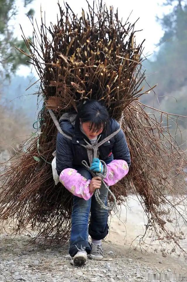 晨迎东方白，
村妇出门来。
不惧路遥远，
深山来砍柴。