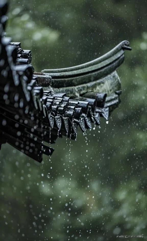 雨中古风长廊，诗意盎然，韵味悠长。🌧️ 雨水至，万物苏 🌱  
细雨润草木，