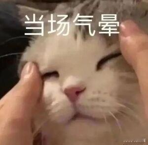 #杨子 我能看你手机你不能看我#？？？？？？21世纪了大哥，什么思想啊 ​​​