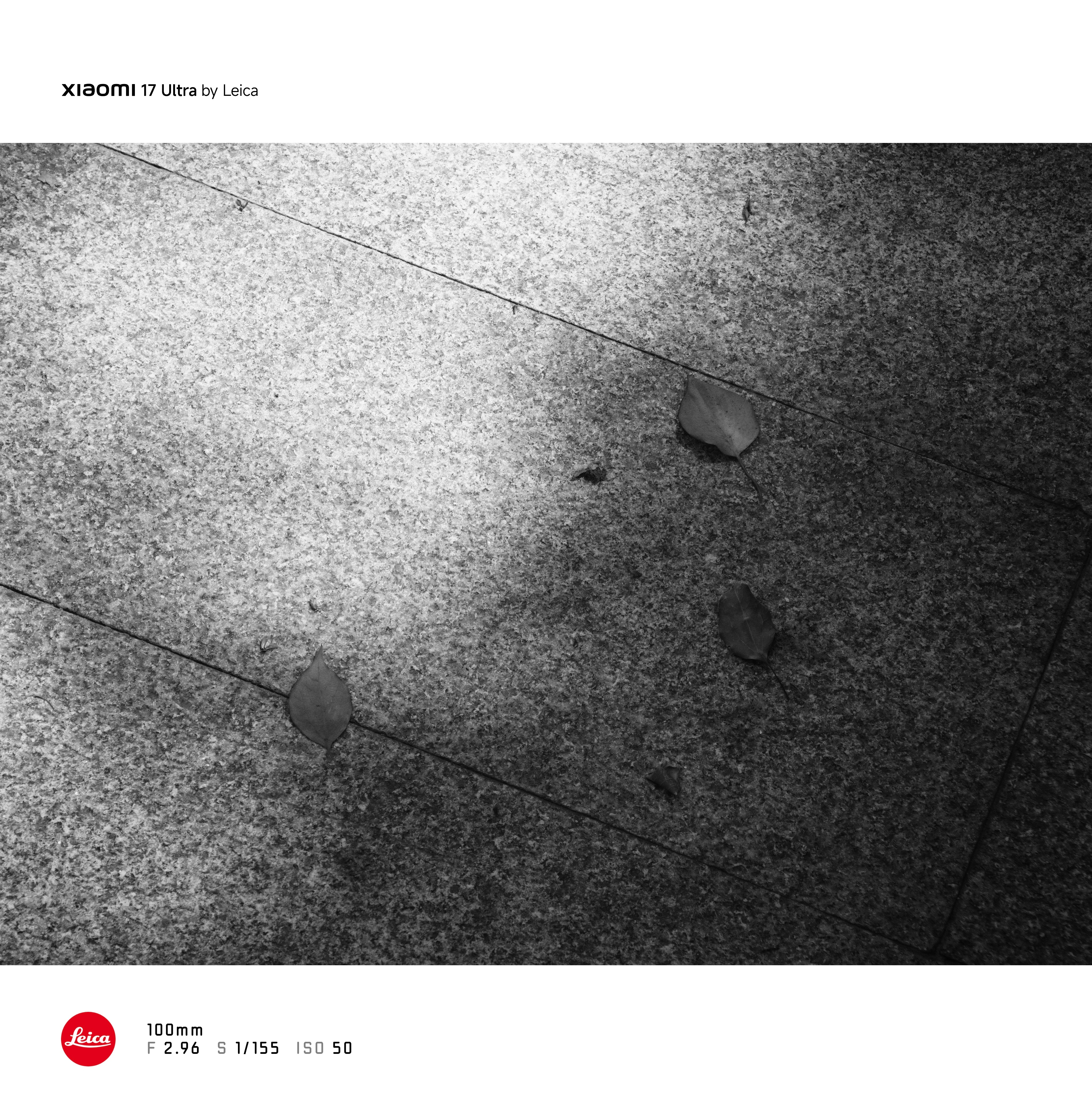 来个有才的，给这张照片起个名 