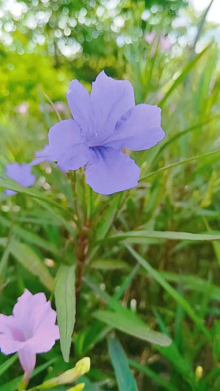 骑行