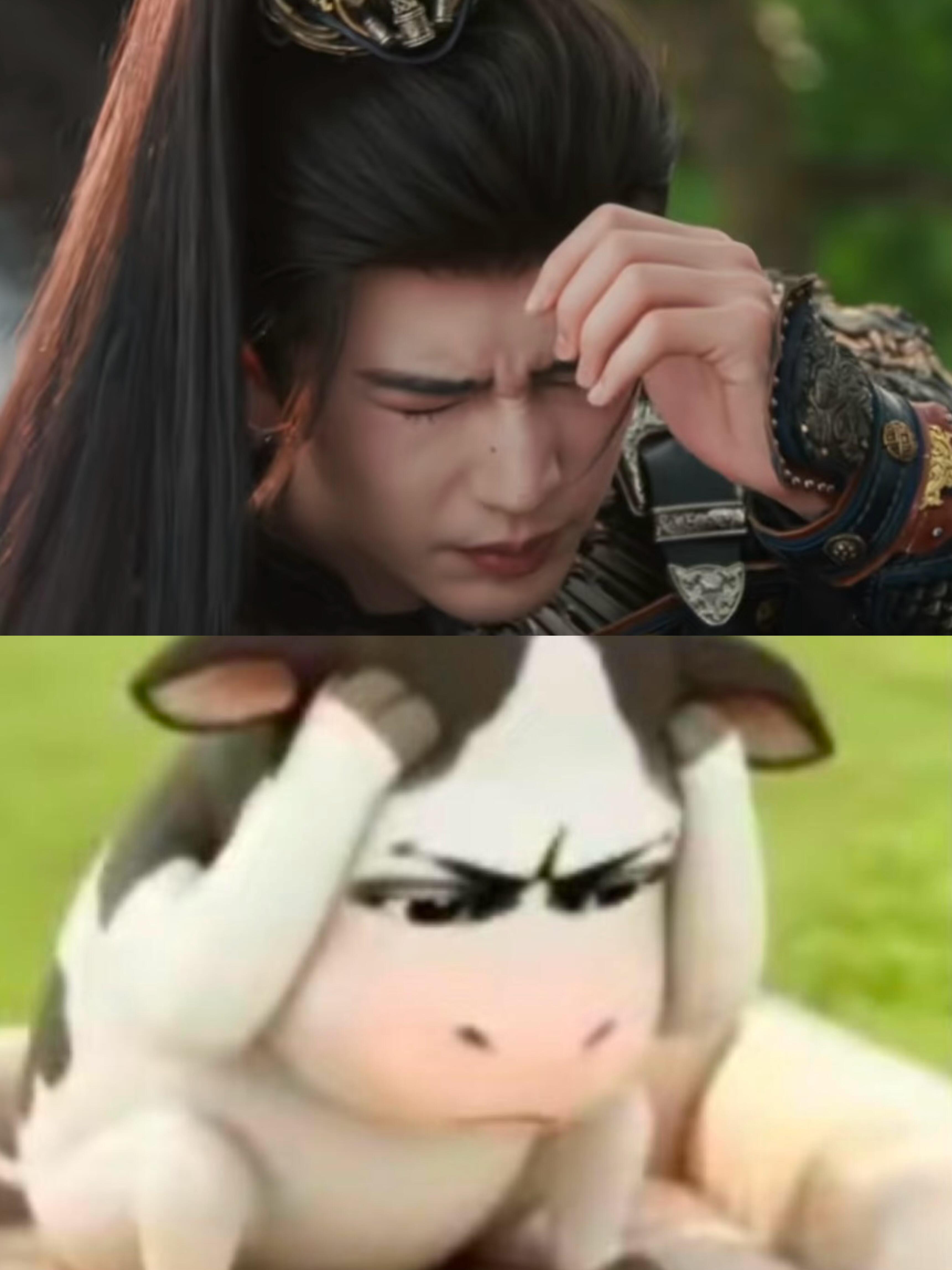 哈哈哈哈哈哈哈我不行了哈哈哈哈哈 差点没把侯爷打成蒙牛宁娘：我阿姐一巴掌拍晕一个