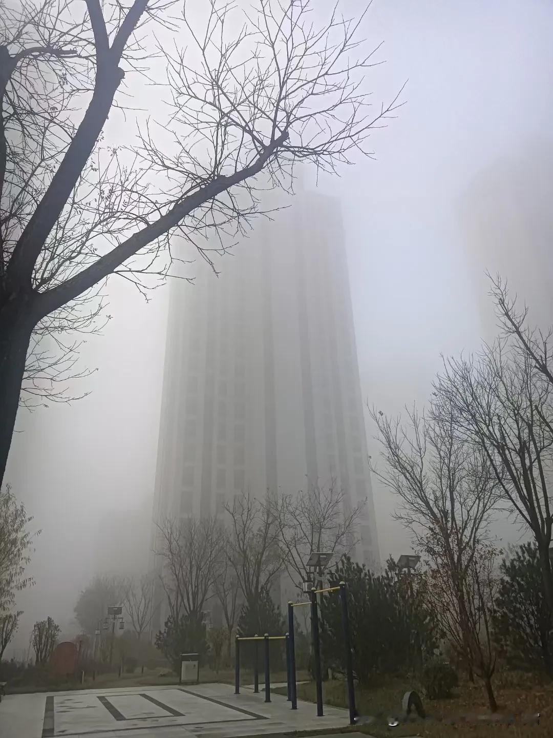 初冬印象（十一）雾朦胧，月朦胧
（手机拍摄：刘建宁，原创图片，使用请注明出处）