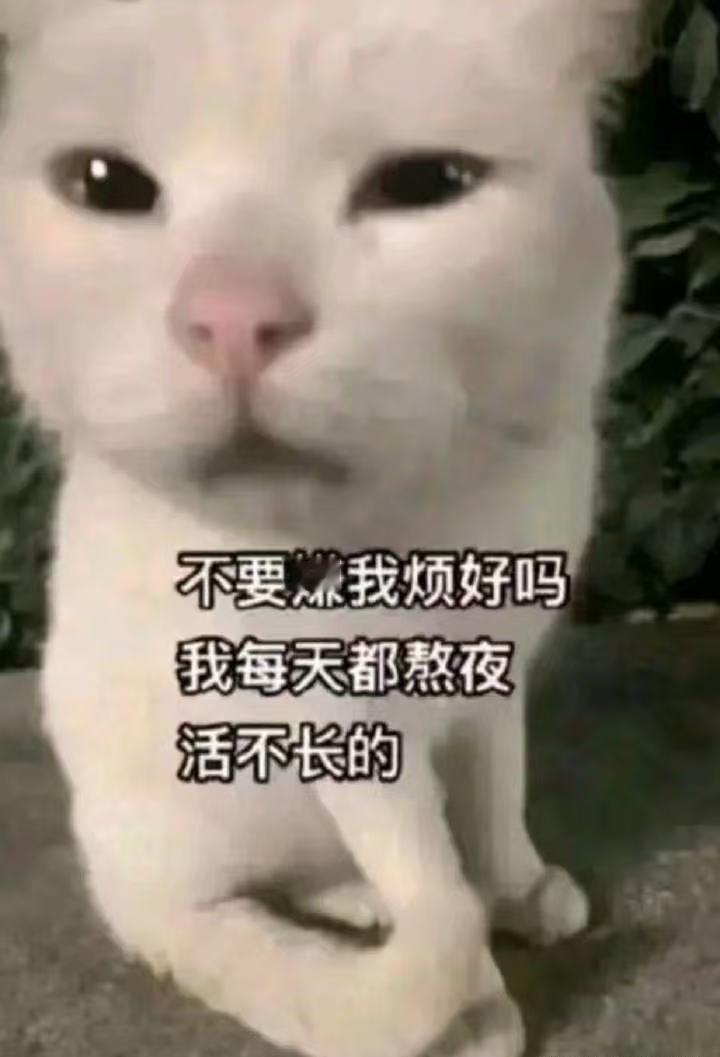 我聊天时的内心活动👇 