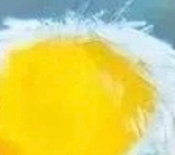 冬天是美丽的。
冬天的雨，落在地上发出滴滴哒哒的声响，那一定是冬雨在下着，不知疲