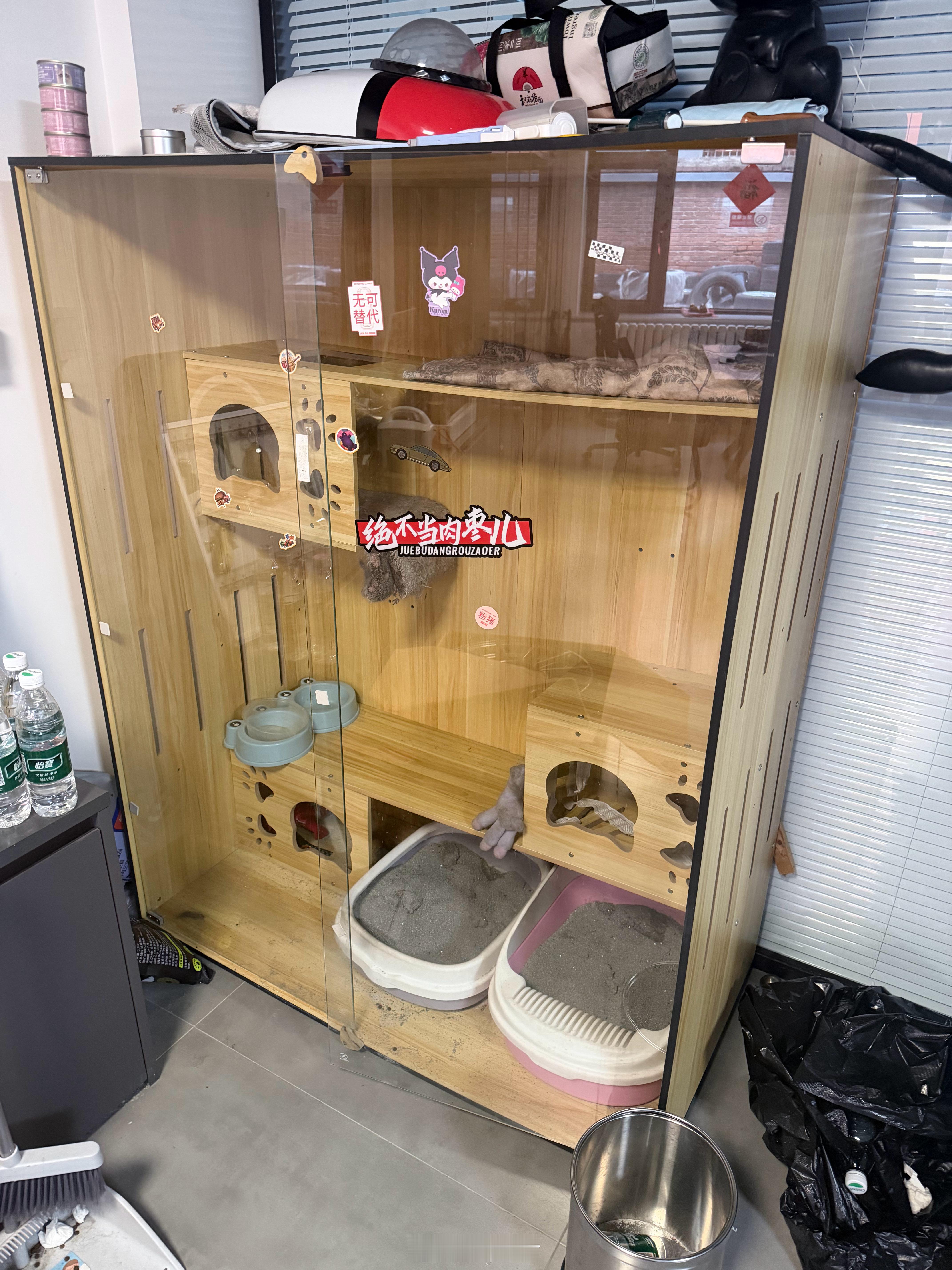 招财🐈已经离家出走好几天了看着他的窝和玩具 我好伤心💔 