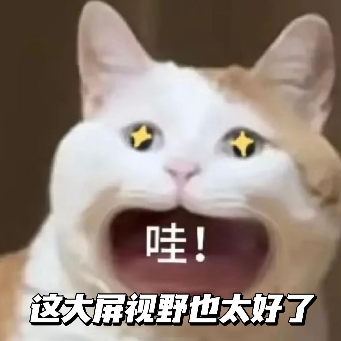 半个游戏圈的人都在换手机谁还没看管泽元余霜的金铲铲直播！电竞夫妻双排氛围感拉满，