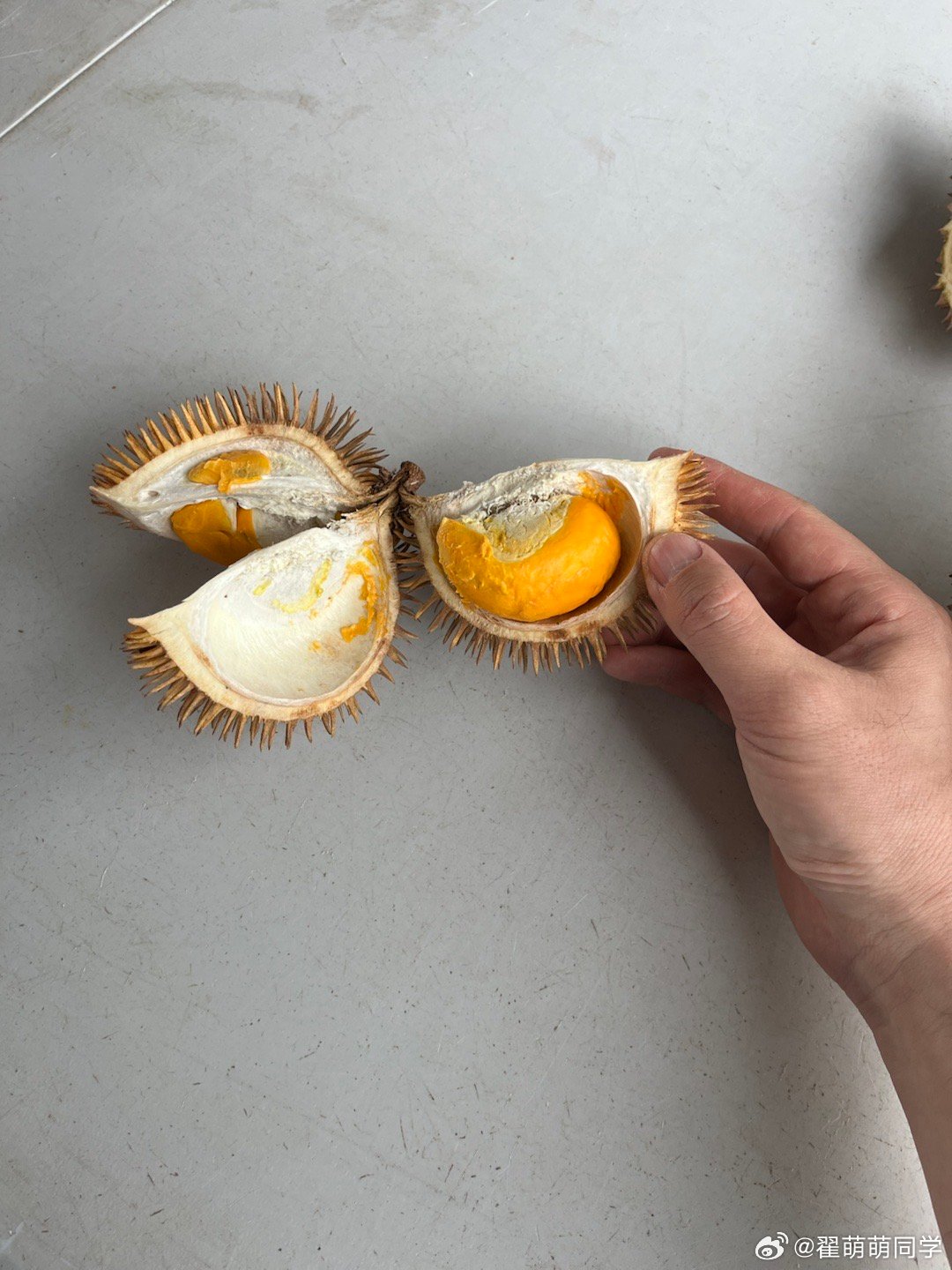 吃上了 马来西亚·沙巴