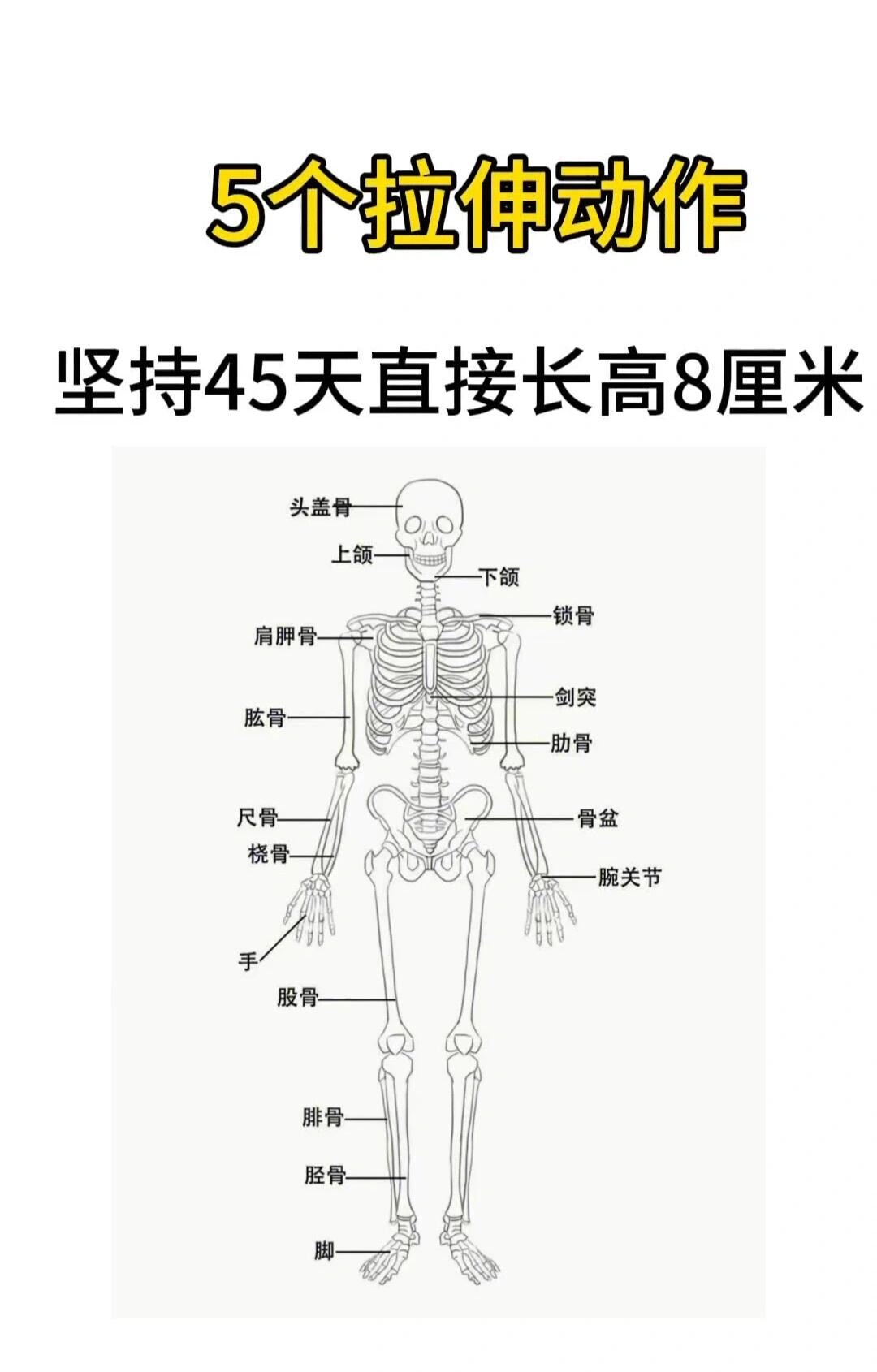 骨骼线闭合后！6个拉伸动作，打开身体空间骨骼线闭合基本上就不会再有自然生长的，但