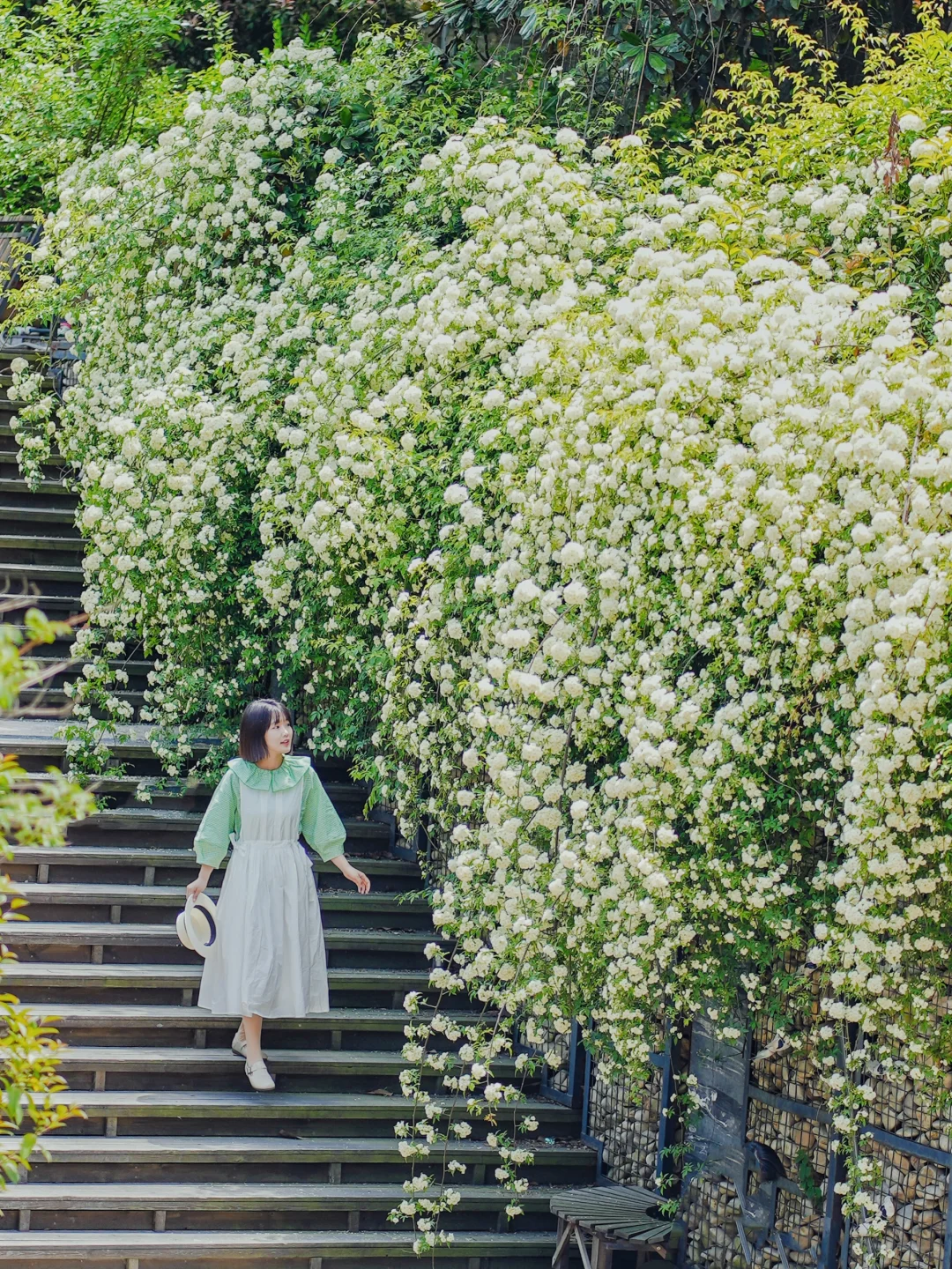 青岛赏花进入next level‼️五月合集请收好咯