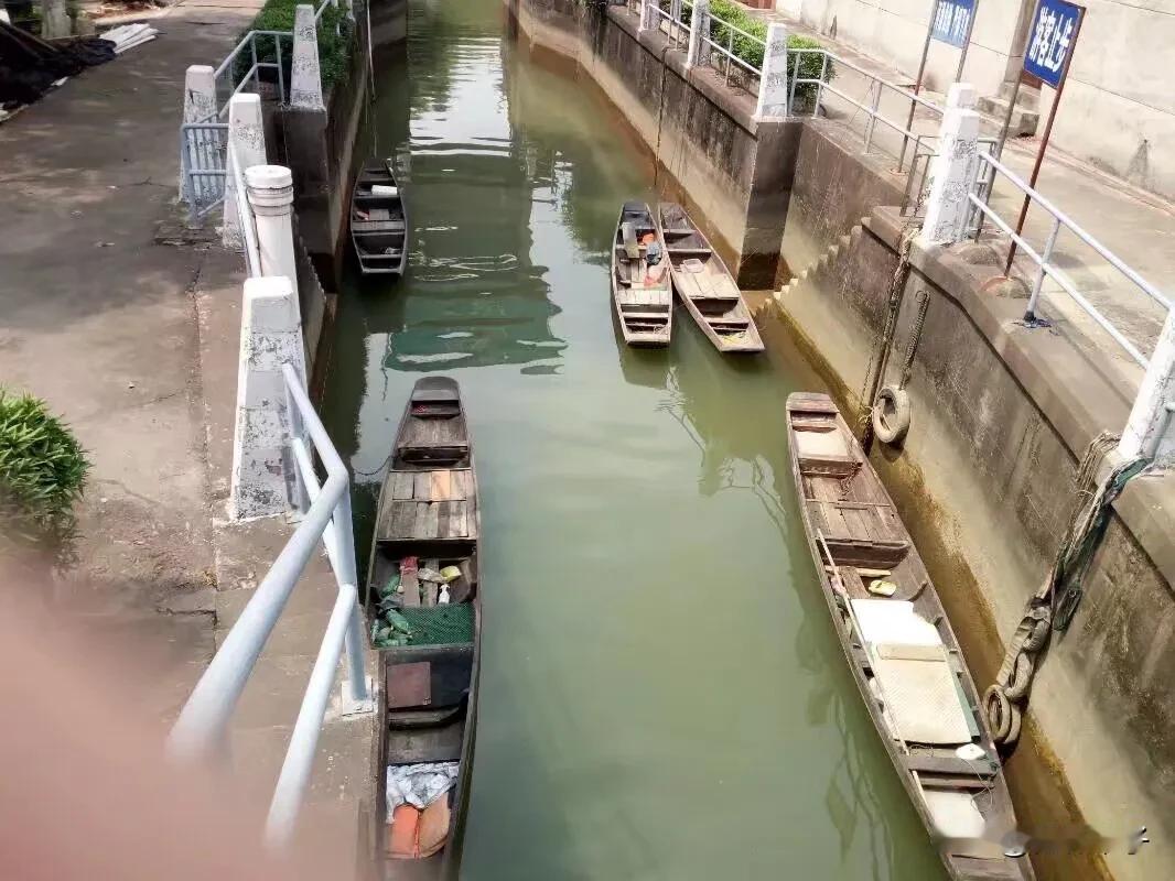 老杜声称至今还没收到“船票”，
老杜儿媳小熊说雨点大，
雷声小。

老杜说，
你