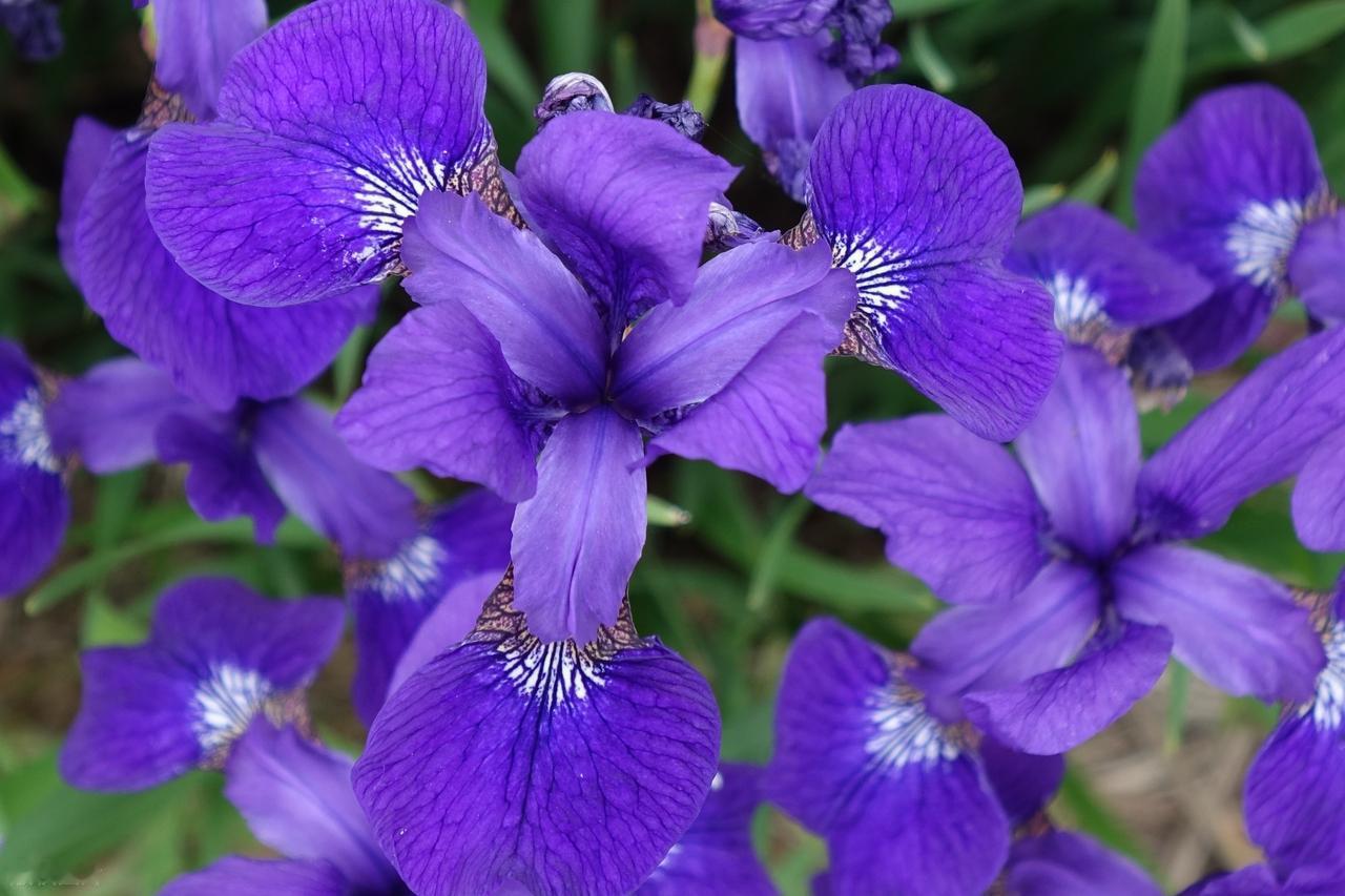 人之所以平庸，多数不是因为自身能力不够，而是因为安于现状，没有激发自己的潜能，在