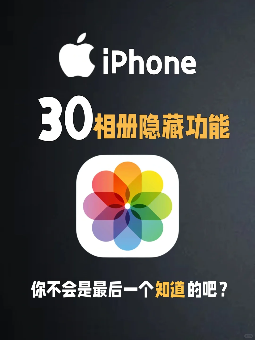iPhone相册技巧🔥我不会是最后一个知道的吧