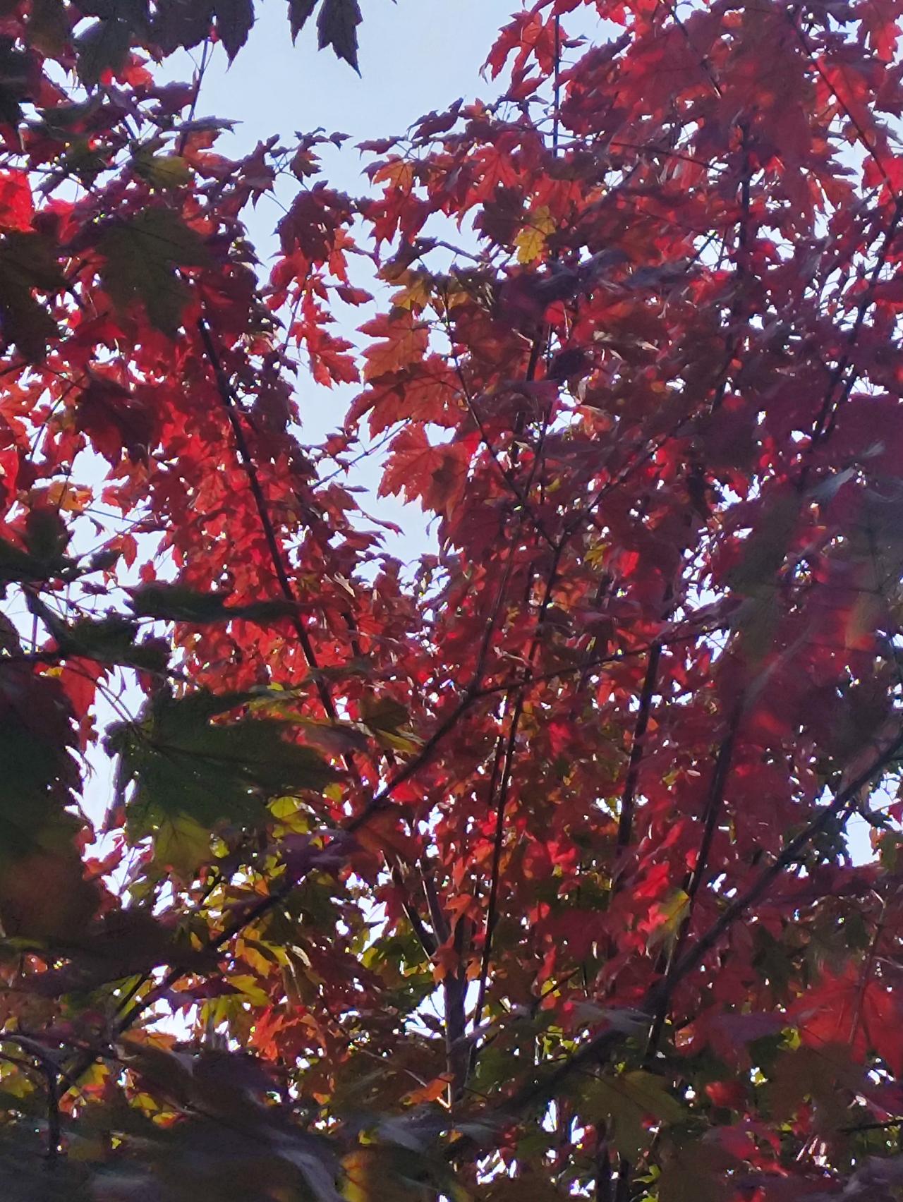 你的退休工资有多少？其实这个话题让很多人心理不平衡，我也是，因为老公是大学本科毕