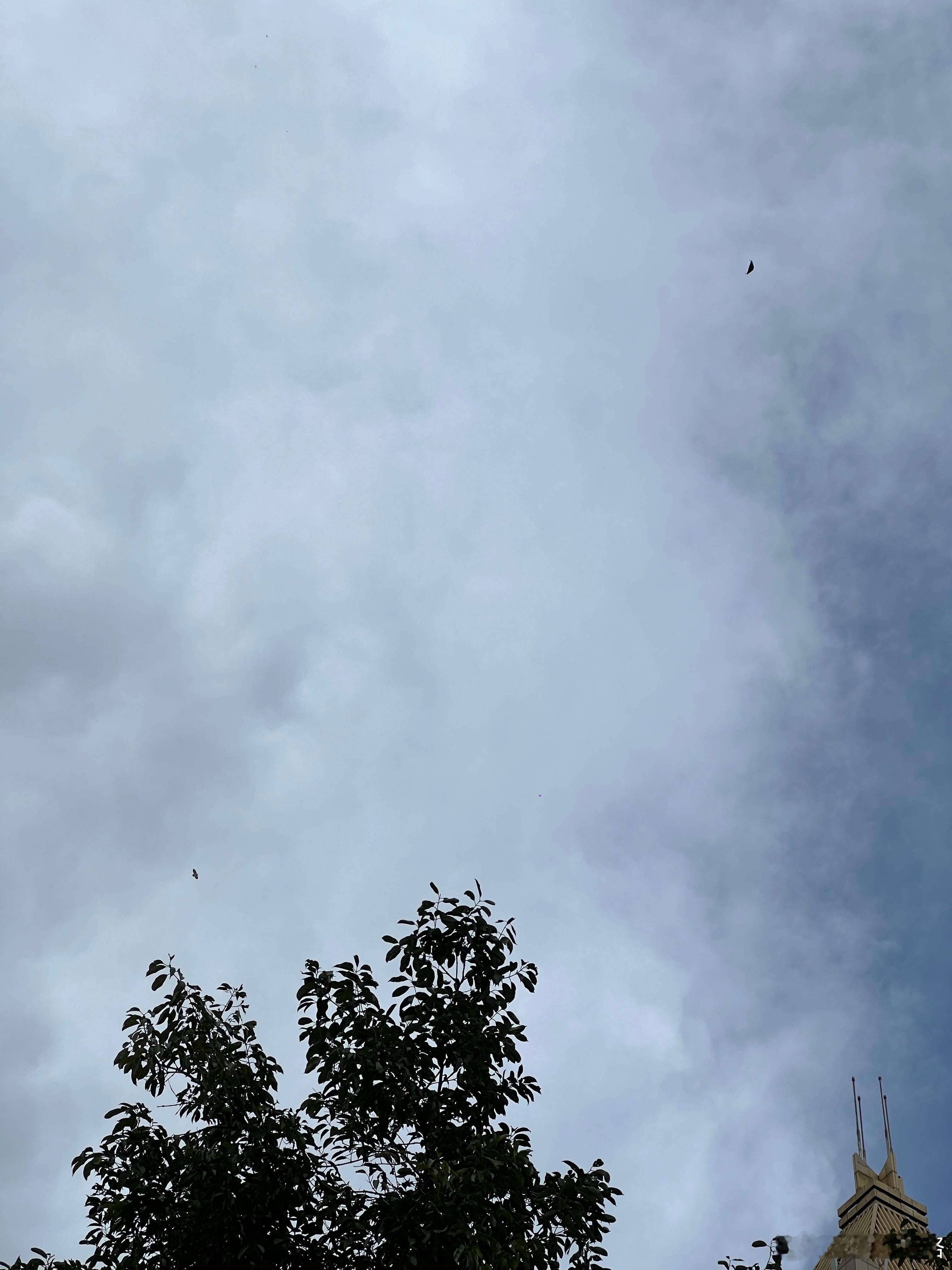 严管无人机我是支持的，同时也必须严管放风筝、空飘物！！！就一根风筝线，随时把一个