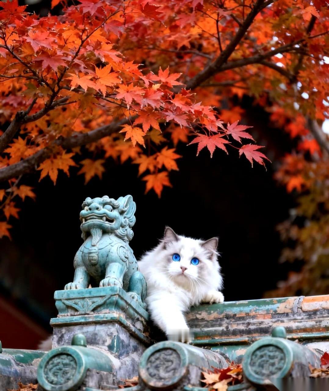 真的，能让一个姑娘心里咯噔一下的，从来不是你亲得多用力。
是那个呼吸，轻轻擦着耳