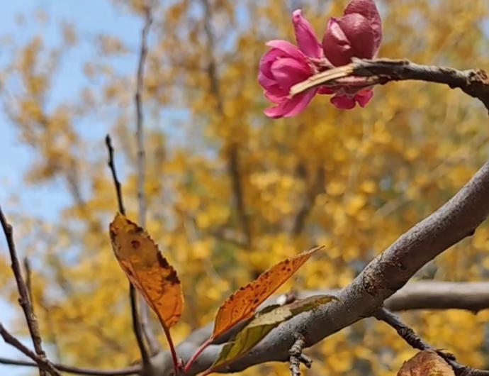 抑郁患者眼中的世界是灰色调的牢笼：阳光再暖也照不进心里，热闹场景只觉疏离，曾热爱