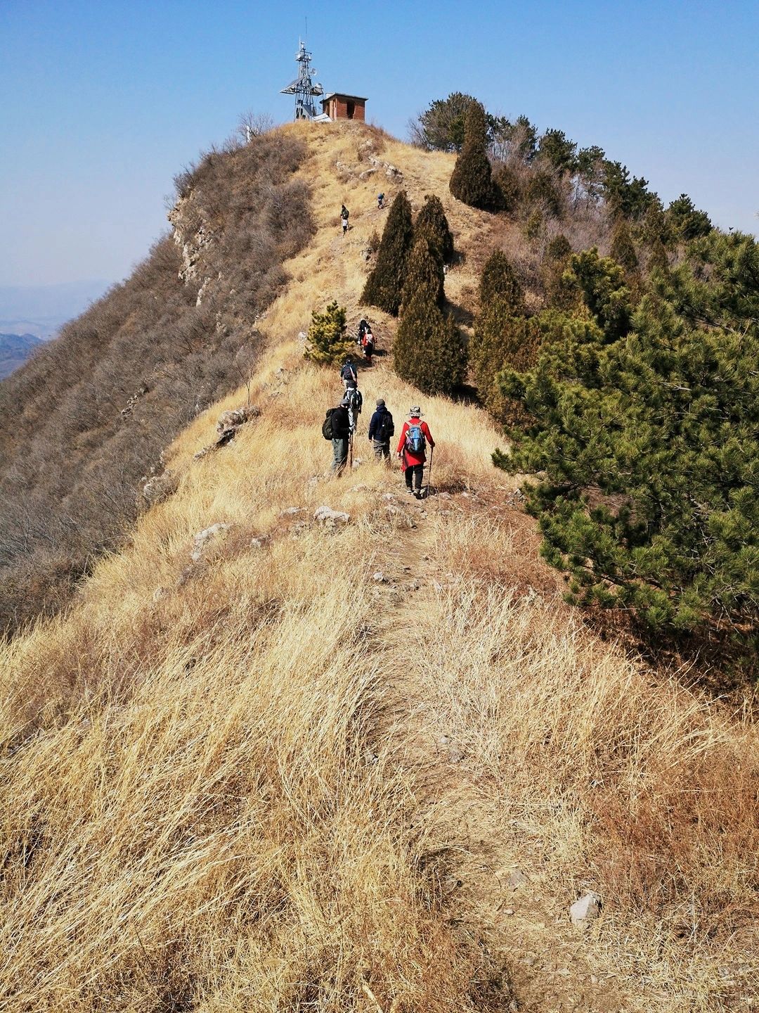 别再去狐狸峪了，歪顶坨金色山脊人少景美！