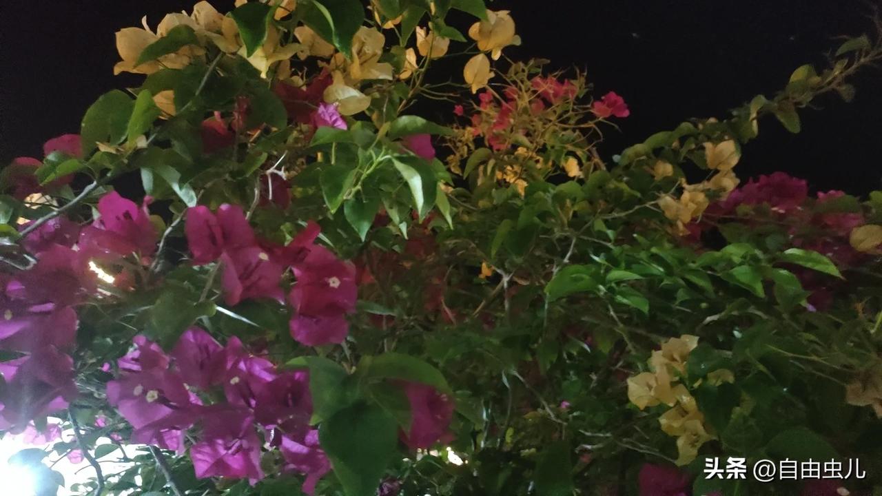 人生仿佛就是从一道路走到另一道路，熟悉又非熟悉，当失去一切的时候，才明白自己根本