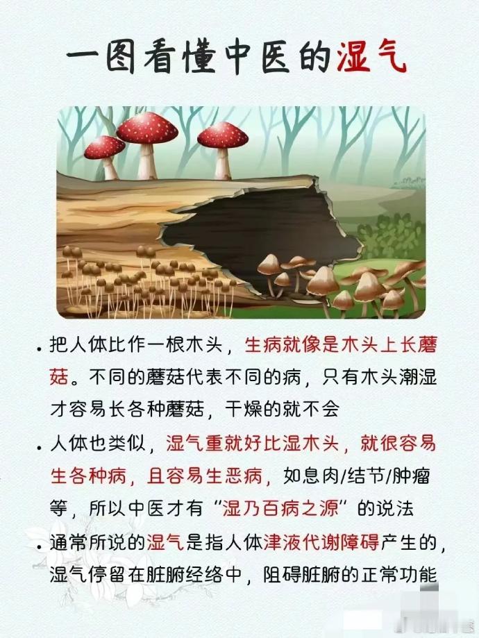 中医如何说“湿气”？ 湿气是中医中的一种病机，一般是由于环境潮湿、饮食、作息习惯