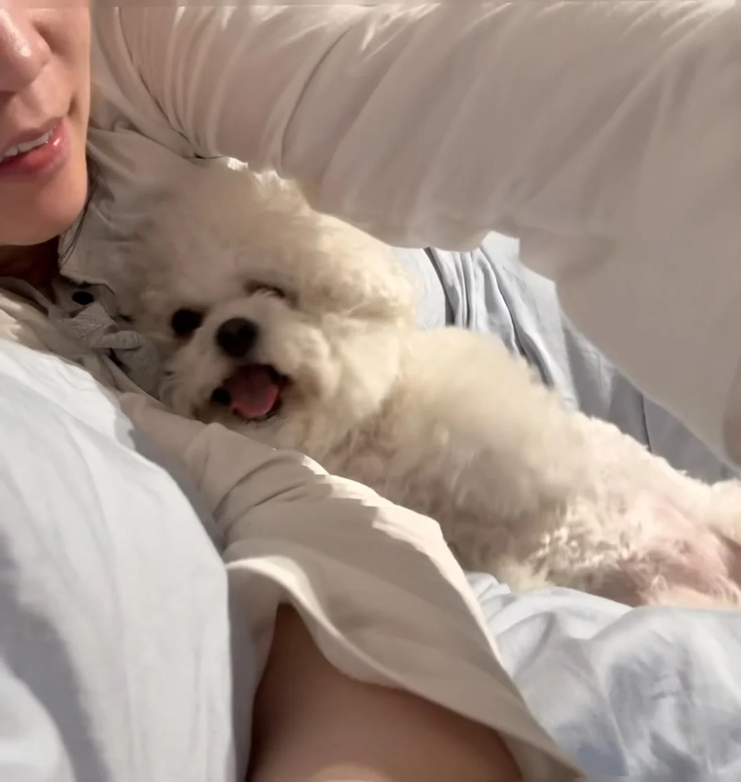 对着这张Live图看了不下十遍