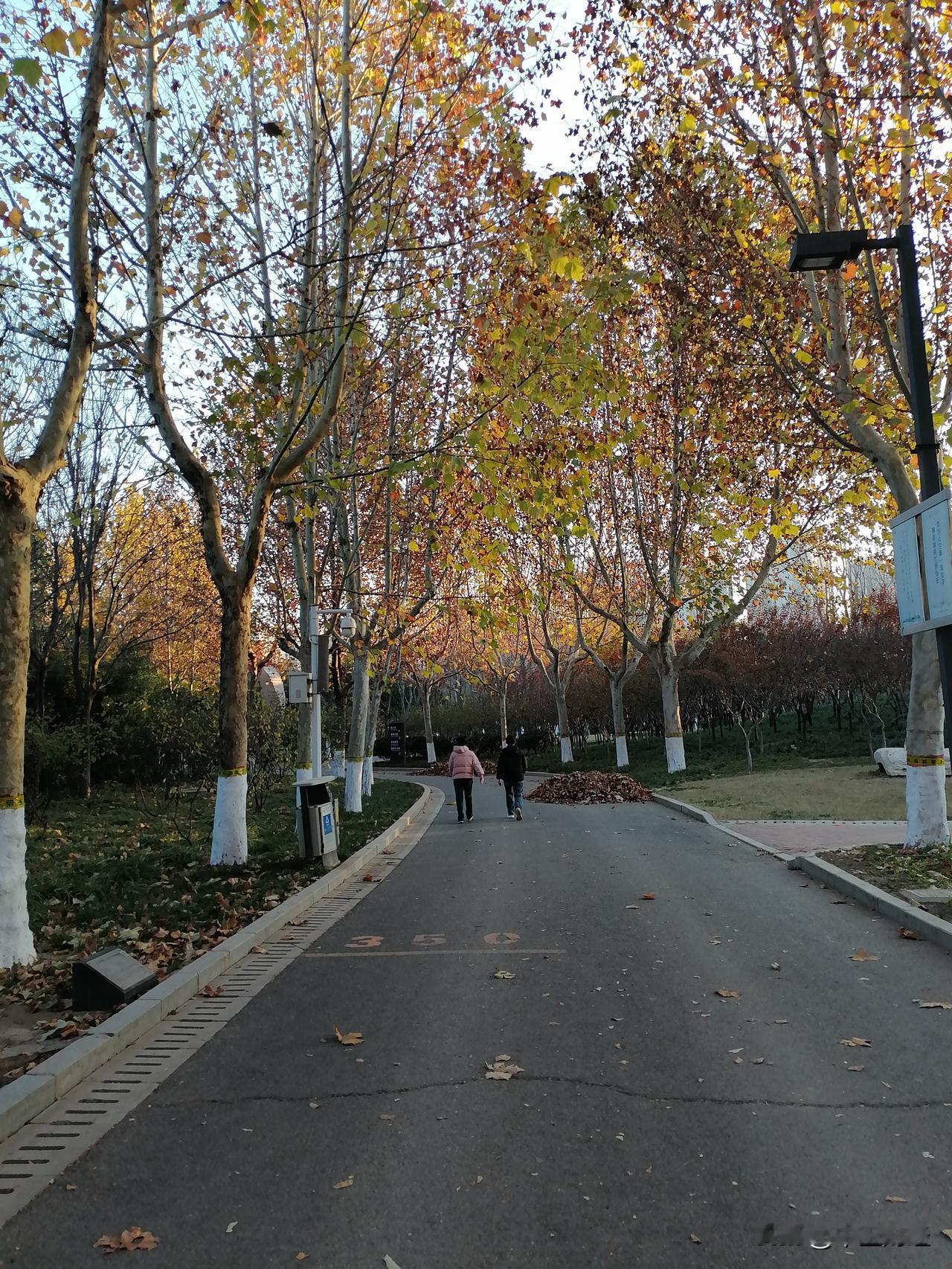 冬日生活打卡季一片冬日景象！