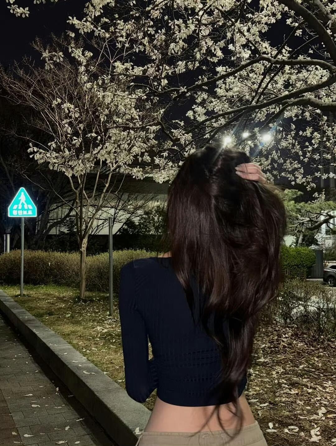 樱花树下𝒚𝒖𝒏𝒂薄薄的身板  厚厚的头发收入春日花花拍照模板 