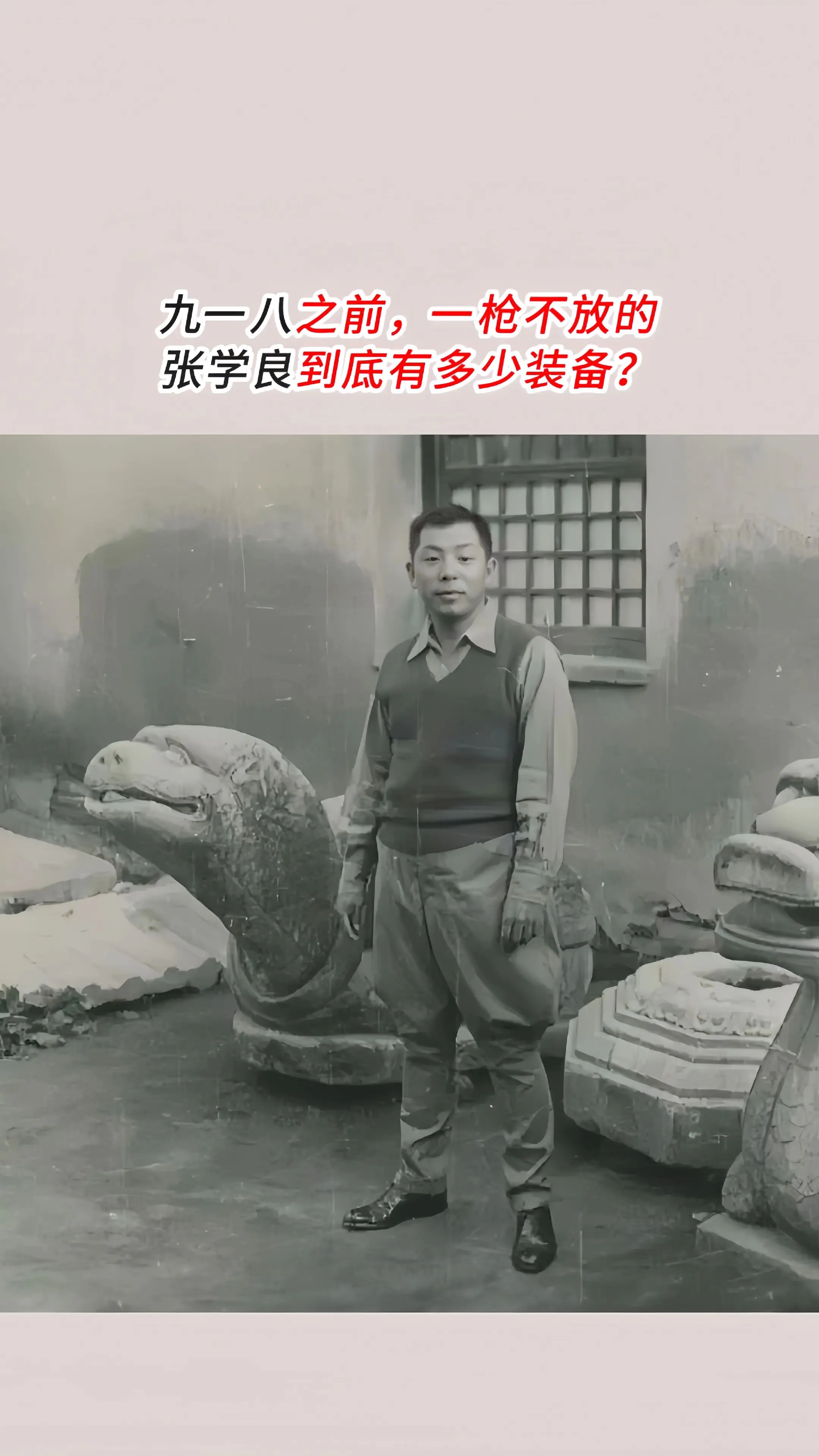 九一八之前，张学良拥有多少装备