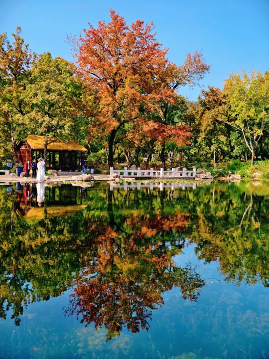 10.28天平山枫叶live实况🍁开启油画世界