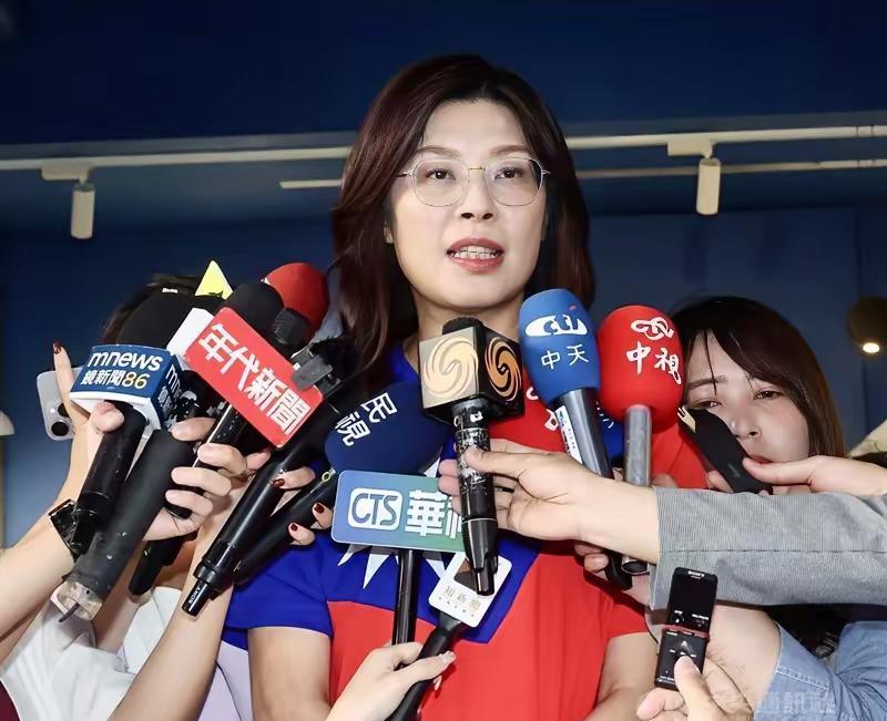 北京时间3月30日，中国台湾省国民党主席郑丽文公开承认：

将前往大陆出访，期待