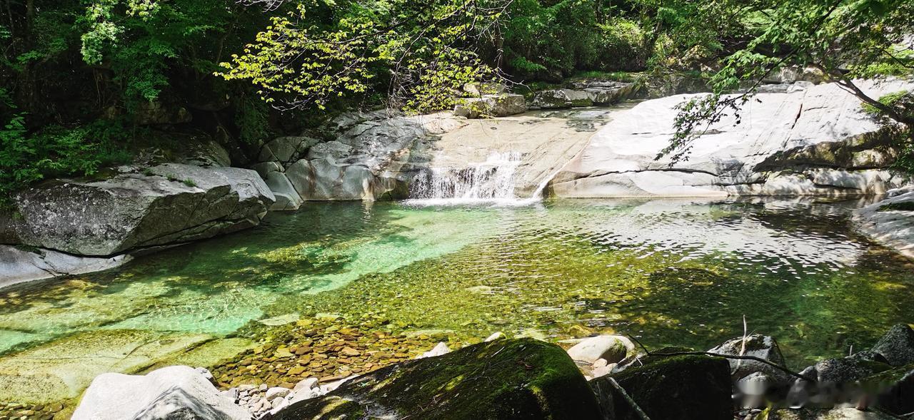 夏日生活打卡季