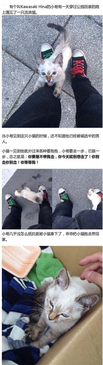 一小哥逛公园被一只猫盯上，只能带回家...[心]
