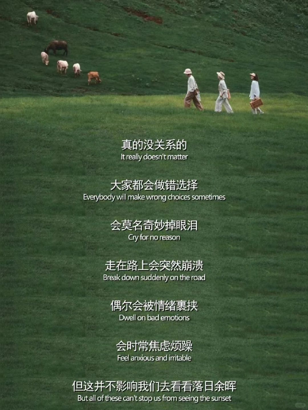 突然被这段话治愈了