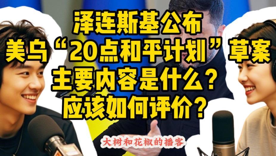 【由乌克兰和美国支持的20点和平计划】看了很多“20点和平计划”，感觉这个比较客