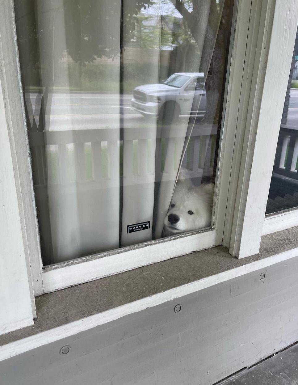 不开不开就不开，妈妈没回来 