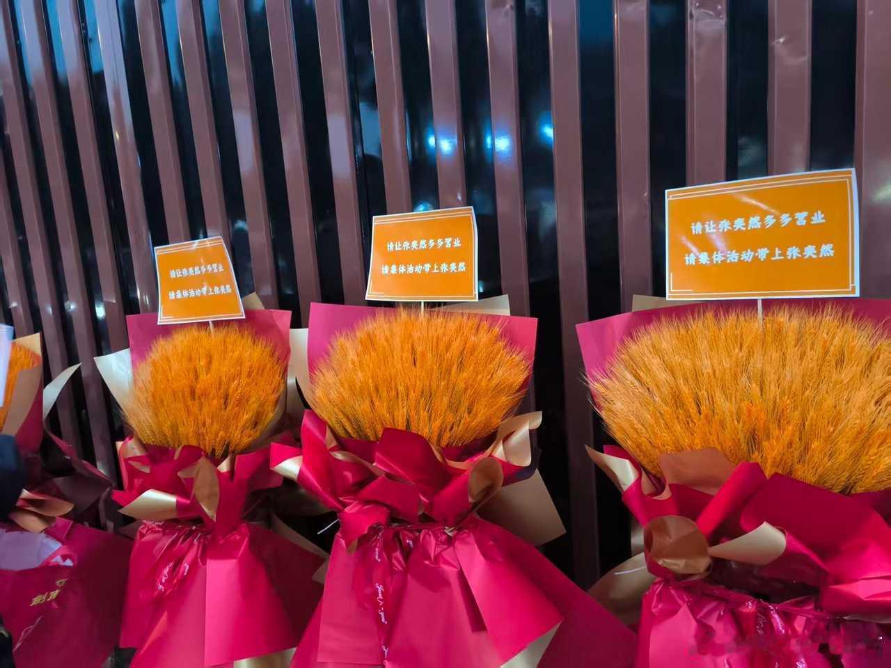 张奕然 在几乎零官方曝光的三个月里，张奕然的粉丝支持度展现了较强的韧性。其高会会