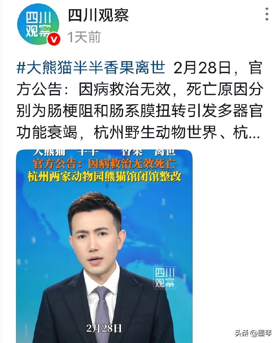 刷到这个视频，只能说真的可惜，可能这大熊猫真不适合在那个地方待，但也有想不通的问