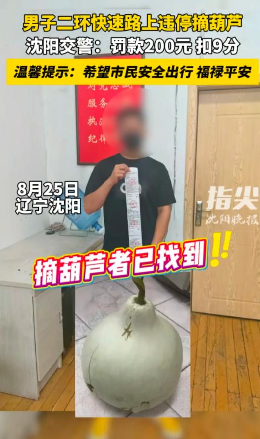 沈阳二环路大葫芦被摘，真的是应了那句话，坏人挖空心思，不如蠢人灵机一动，
两口子