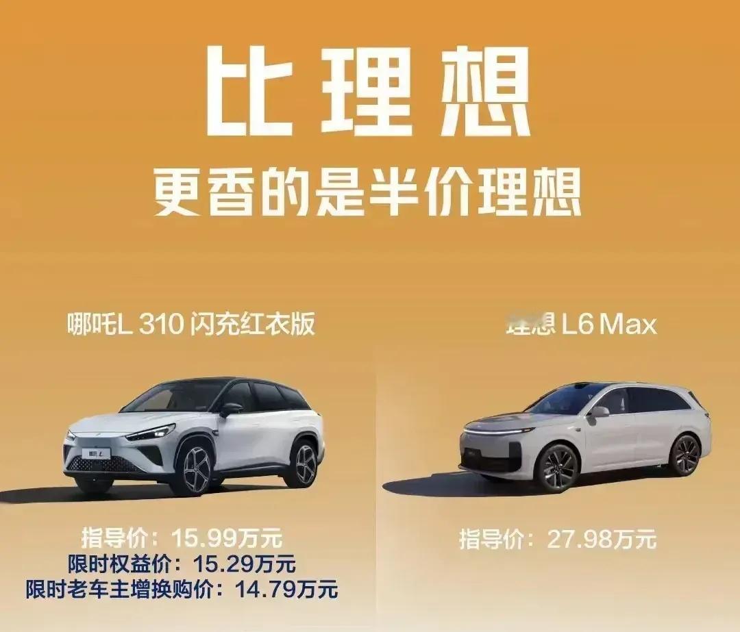 我觉得，价格低不一定就能卖得好。不信大家看着，15.99的哪吒L310肯定卖不过