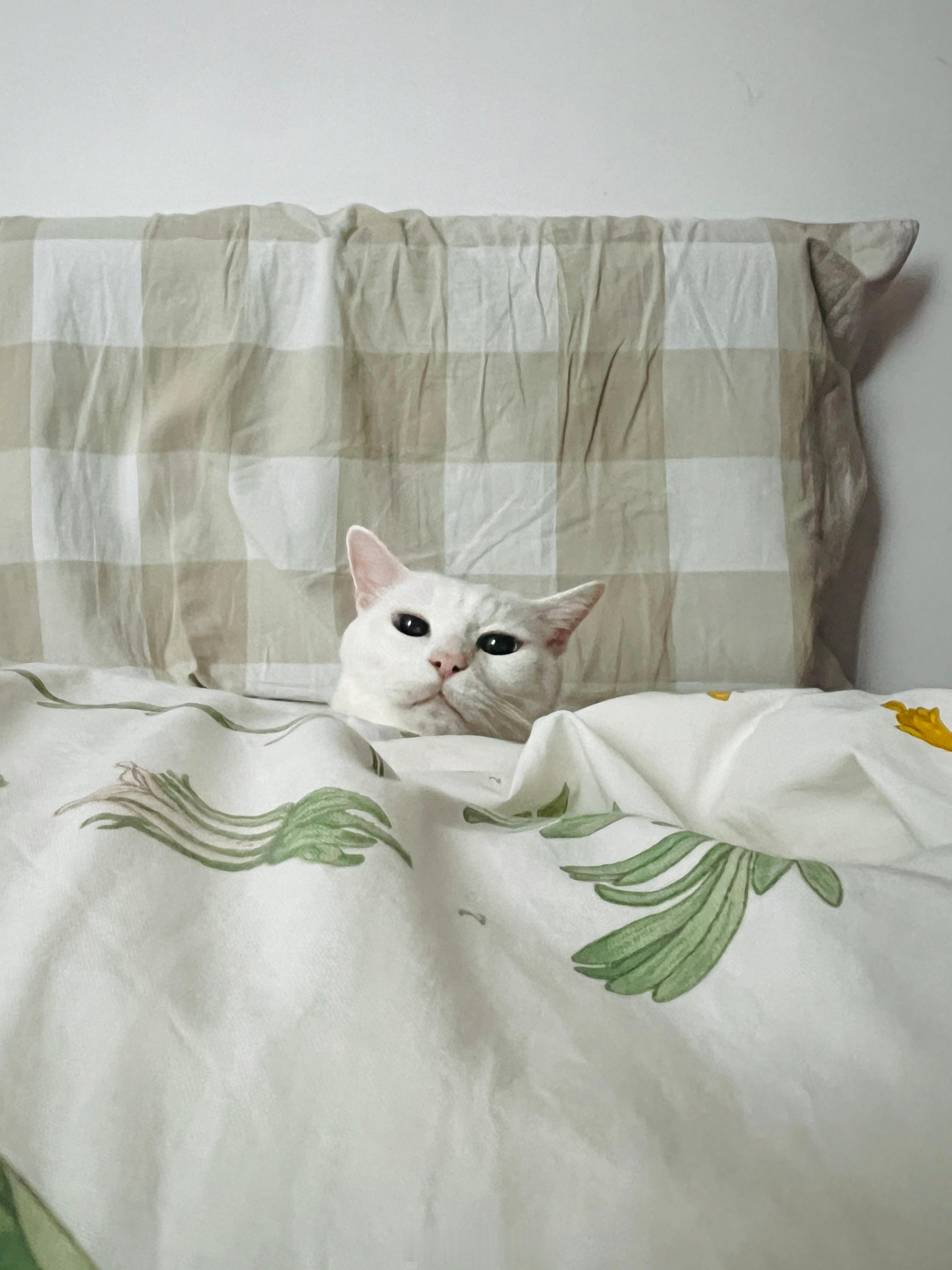 大家早安！記得吃早餐🍳 