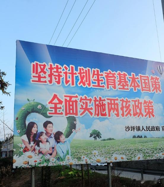 2015年，一场有关“全面二胎”的专家论坛上，权威学者当着媒体和众多人的面豪气预