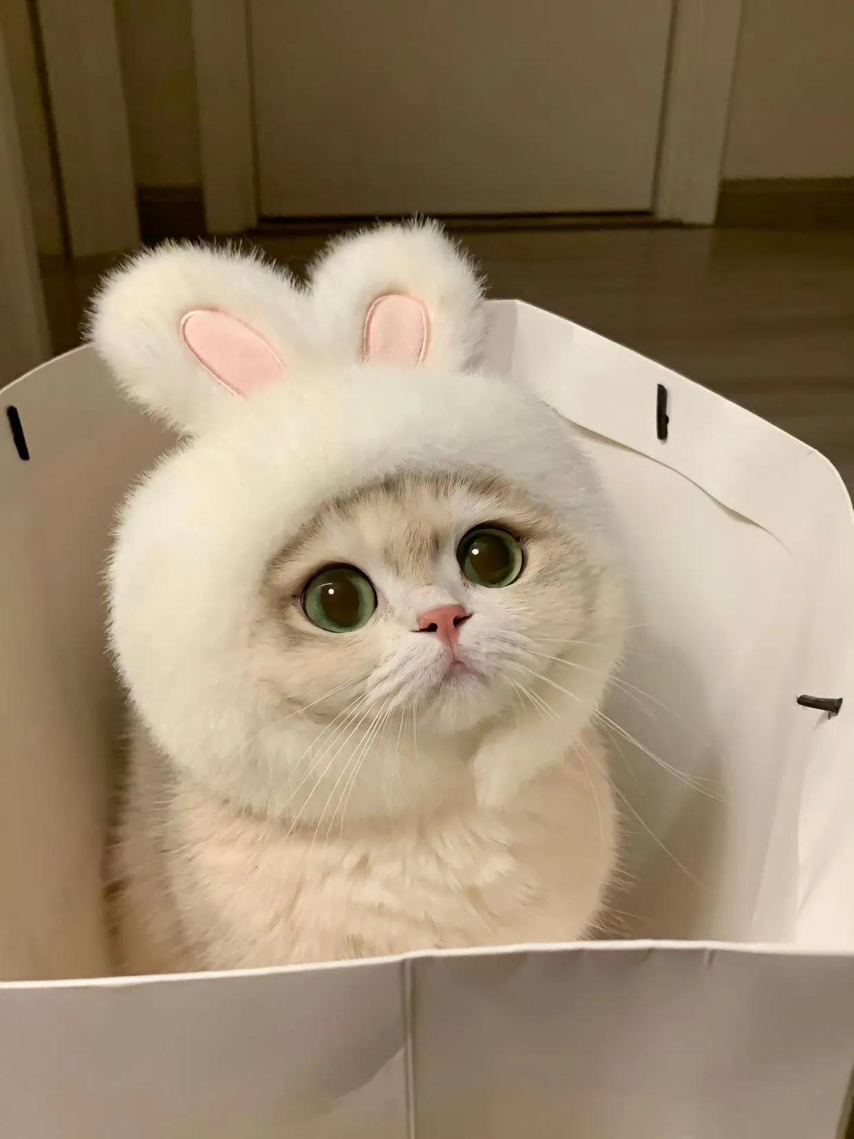迷人电眼大wink