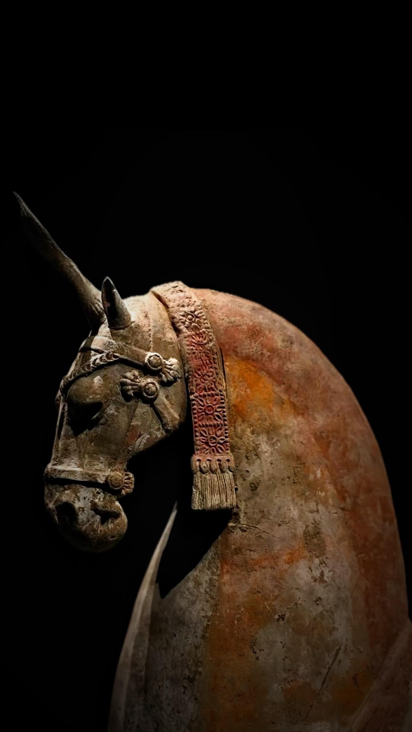 北齐·彩绘陶马。东市买骏马 西市买鞍鞯 南市买辔头 北市买长鞭 ——南...