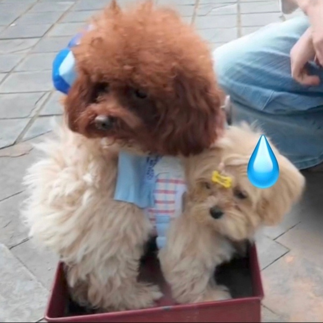 全是神人 