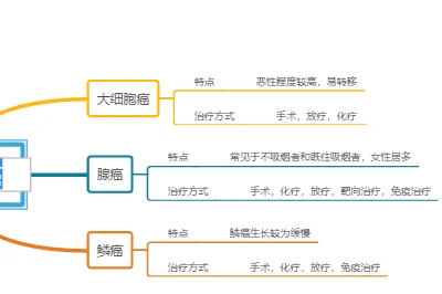 肺癌分类