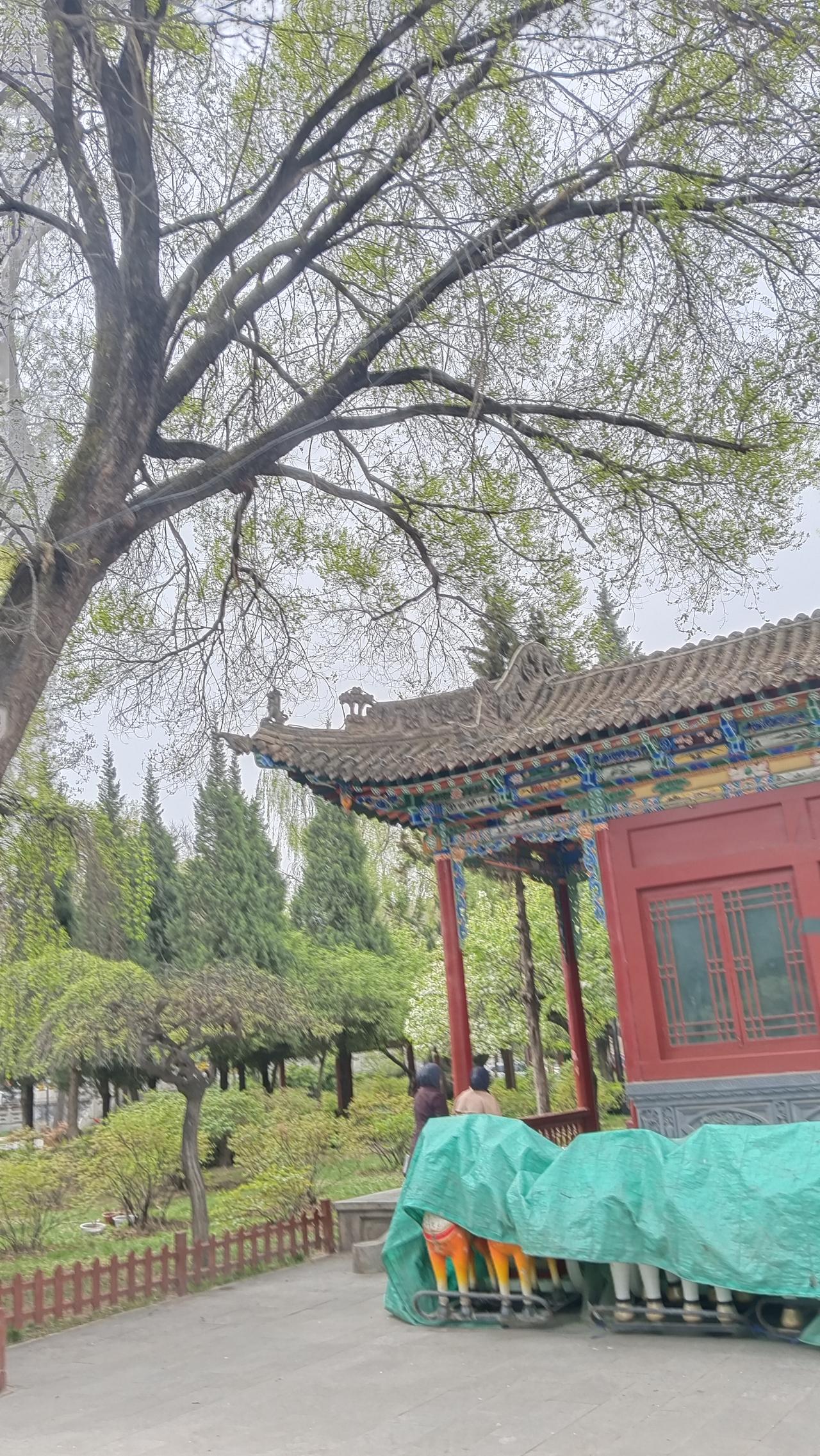 晒图笔记大赛 古风建筑与绿树掩映，静谧的庭院，仿佛穿越时空。