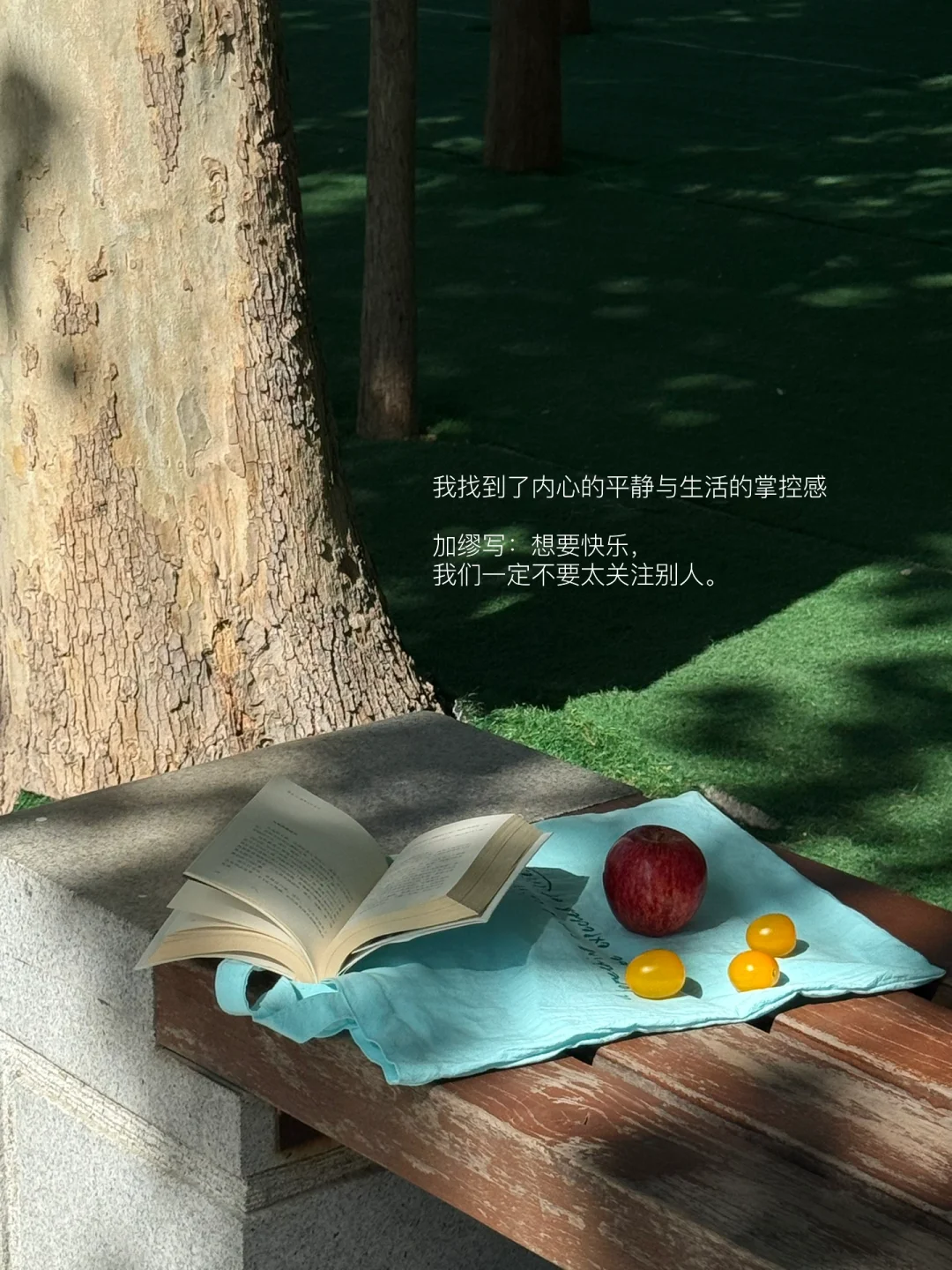 当我尝试每日断网止语一小时