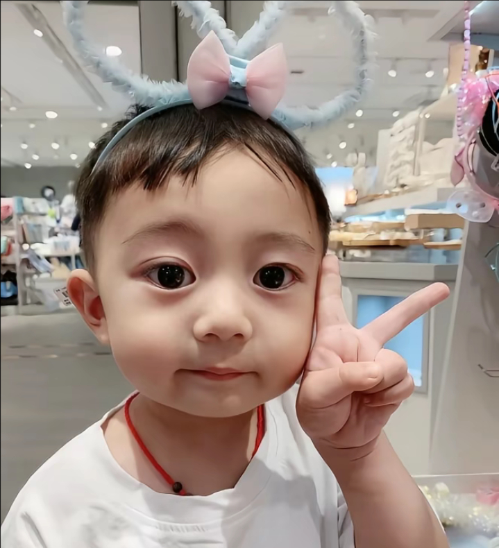 呆萌俊塑 