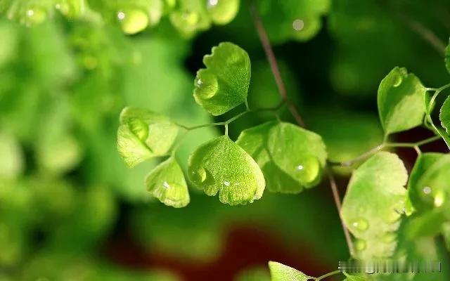 做老师最头疼的是家长不配合老师，彻底把孩子放弃。

班上有个叫小乐（化名）的孩子